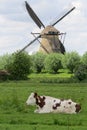 Scenes of Netherlands