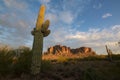 Scenes from Lost Dutchman State Park Royalty Free Stock Photo