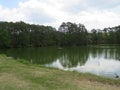 Scenes of tranquil waterways with lush foliage