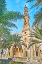 The palm garden of Abu al-Abbas al-Mursi Mosque, Alexandria, Egypt Royalty Free Stock Photo