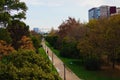 Scenic aerial landscape view dirt pathway for hiking between green trees. Jardi del Turia (Turia gardens). Royalty Free Stock Photo