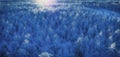 Scenic aerial low height winter sun shine panorama of frozen northern pine tree forest. Sun rays shine over frozen pine tree tops Royalty Free Stock Photo