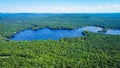 Scenic aerial view of a blue lake with pine trees coast