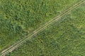 Scenic aerial view of flower and grass in agriculture field.Aerial rural landscape view of country road with meadow grass.drone Royalty Free Stock Photo