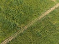 Scenic aerial view of flower and grass in agriculture field.Aerial rural landscape view of country road with meadow grass.drone Royalty Free Stock Photo