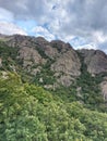 Scenic aerial view of a hillside covered in trees with jagged mountains in the distance