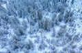 Scenic aerial view on snow covered pine tree forest during snowfall, white winter Landscape In Northern Sweden, Umea Royalty Free Stock Photo