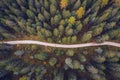 Scenic aerial view of a winding trekking path in a forest. Trekking path in the forest from above, drone view. Aerial top view of Royalty Free Stock Photo