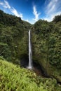 Scenic Akaka falls in Hawaii Royalty Free Stock Photo