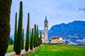 The scenic alley with cypress trees leads to Sant\'Abbondio Chuch, Collina d\'Oro, Switzerland