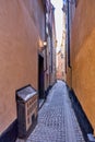 Scenic alleyway between two traditional European buildings illuminated by a street lamp.