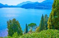 Lake Lugano behind the greenery of Scherrer Park, Morcote, Switzerland Royalty Free Stock Photo