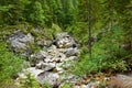 Scenic alpine stream in valle Riofreddo in Comune di Tarvisio