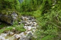 Scenic alpine stream in valle Riofreddo in Comune di Tarvisio