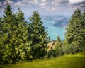 Scenic alpine view in a cloudy summer day with Switzerland blue water lakes in background framed by pine tree close up