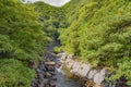 Scenic Anbo river in Yakushima island, Kagoshima Prefecture Japan