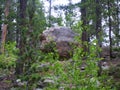 Scenic Arapaho National Forest Near St. Mary`s Glacier, Colorado