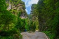 Summer scenery of the Three Gorges sea of bamboo in Yichang, Hubei, China Royalty Free Stock Photo