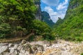 Summer scenery of the Three Gorges sea of bamboo in Yichang, Hubei, China Royalty Free Stock Photo