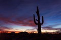 Arizona desert landscape with Saguaro Cactus silhouette at sunset Royalty Free Stock Photo