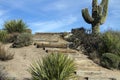 Scenic Arizona Desert Saguaro Cactus Landscape