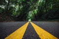 Scenic asphalt road with yellow marking lines at deep forest natural tunnel.