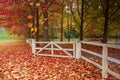 A white timber fence and deciduous trees Autumn scenic countryside Royalty Free Stock Photo
