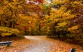 Scenic Autumn drive Royalty Free Stock Photo