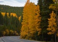 Scenic autumn drive to Mount Evans in Colorado