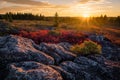 Autumn evening over Dolly Sods Wilderness Royalty Free Stock Photo