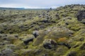 Scenic autumn green lava fields near Fjadrargljufur Canyon in Iceland. Green moss on volcanic lava stones. Unique lava fields