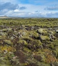 Scenic autumn green lava fields near Fjadrargljufur Canyon in Iceland. Green moss on volcanic lava stones. Unique lava fields