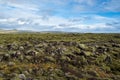 Scenic autumn green lava fields near Fjadrargljufur Canyon in Iceland. Green moss on volcanic lava stones. Unique lava fields