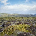 Scenic autumn green lava fields near Fjadrargljufur Canyon in Iceland. Green moss on volcanic lava stones. Unique lava fields