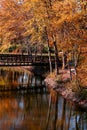 Scenic autumn landscape Royalty Free Stock Photo