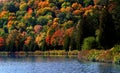 Scenic Autumn landscape in Allegheny Royalty Free Stock Photo