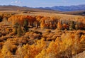 Scenic Autumn Landscape In Conway Summit, Eastern Sierra, California