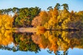 Scenic Autumn Landscape