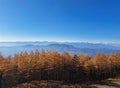 Scenic autumn landscape with trees and mountains in the distance Royalty Free Stock Photo