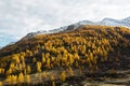 Coloroful autumn mountains landscape, italian Alps Royalty Free Stock Photo