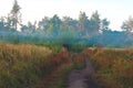 Scenic autumn nature foggy morning landscape. Narrow winding path through the meadow into the forest. Autumn colors background Royalty Free Stock Photo