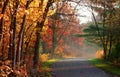 Scenic autumn road