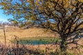 Scenic autumn sunny day blue sky landscape of Cheshe mountain lake and tree with yellow leaves on Chernogor Mount plateau in West Royalty Free Stock Photo