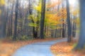 Scenic autumn trail Royalty Free Stock Photo