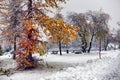 Scenic autumn view with the first snow on a dirt wet road in the mountains, trees and forest in the snow and hoarfrost on the Royalty Free Stock Photo