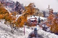 Scenic autumn view with the first snow, trees and forest in the