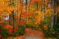 Scenic Autumn Walk Way Royalty Free Stock Photo