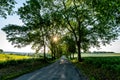 Avenue in Mecklenburg-Vorpommern