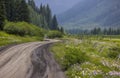 Scenic back road 734 through wildflower meadows in Colorado. Royalty Free Stock Photo