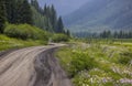 Scenic back road 734 through wildflower meadows in Colorado.